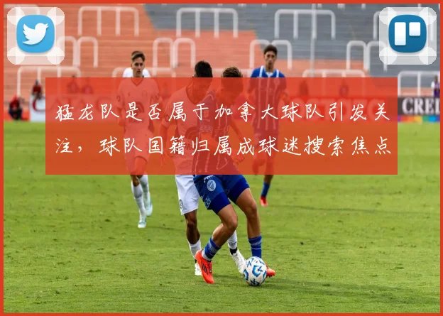 猛龙队是否属于加拿大球队引发关注，球队国籍归属成球迷搜索焦点