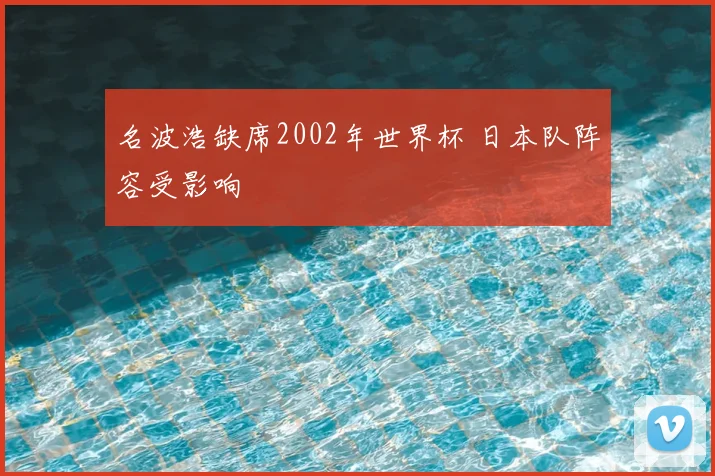 名波浩缺席2002年世界杯 日本队阵容受影响